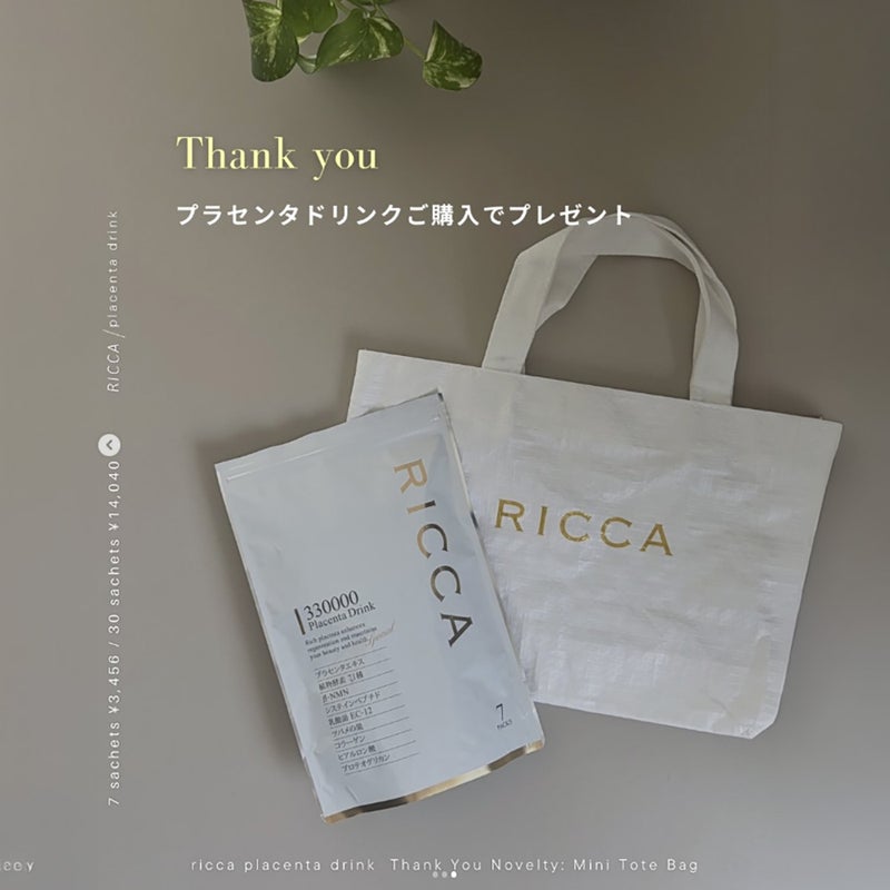 ミニトートバッグ